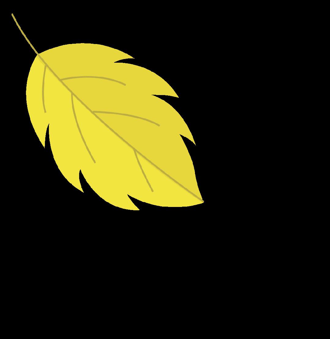 DƬ